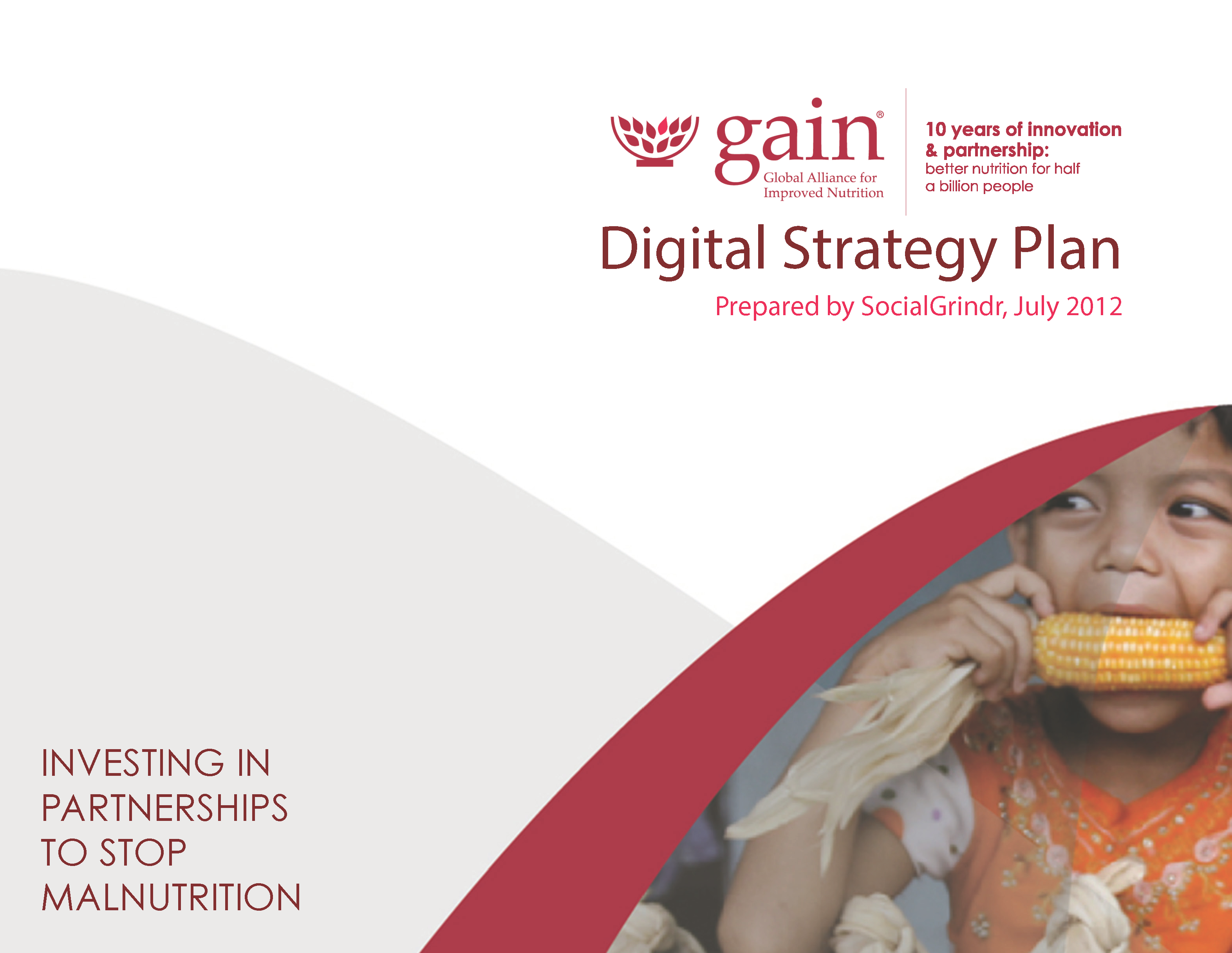 Pages from GAIN Digital Strategy hl